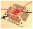 microelectrodedevice